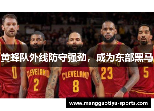 黄蜂队外线防守强劲，成为东部黑马